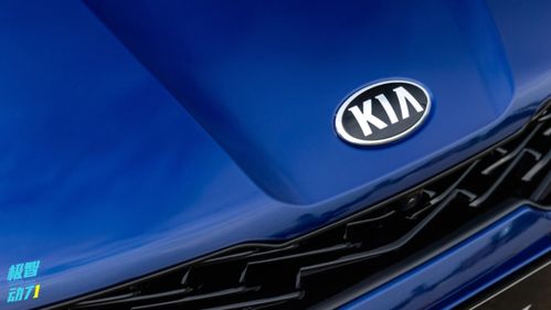 年度汽車可靠性排名生變，銷量王者緣何淪為質量洼地？